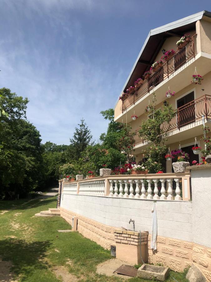 Apartman Ana Vrlika Exterior photo