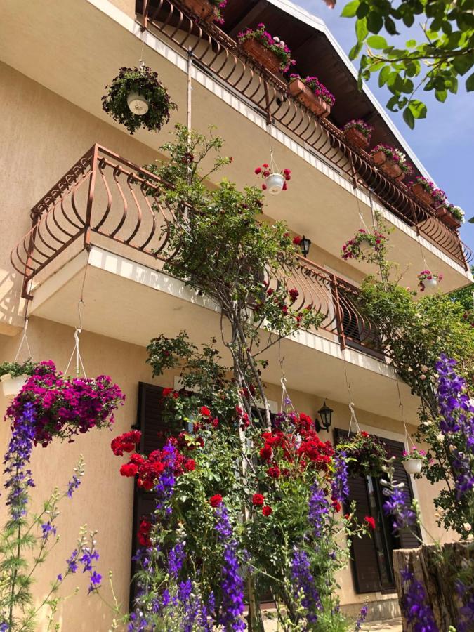 Apartman Ana Vrlika Exterior photo